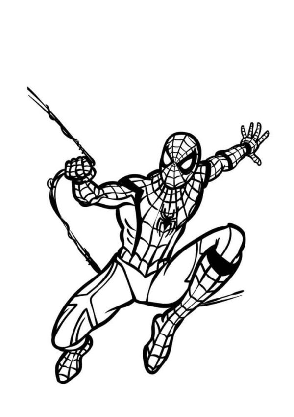 Basic Drawing Spiderman