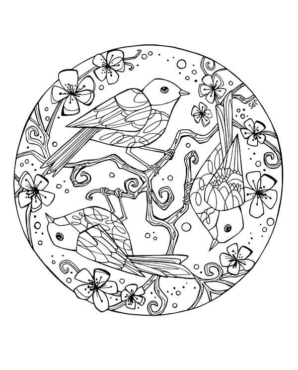 Birds with Flowers and Leaves in Spring Mandala