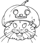 Cat Wearing Pumpkin Hat