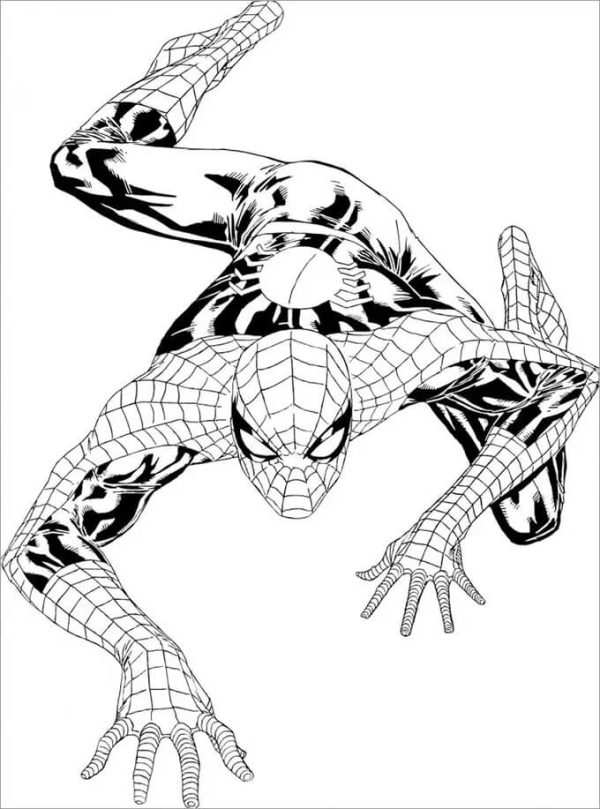 Comic Spiderman Climbing