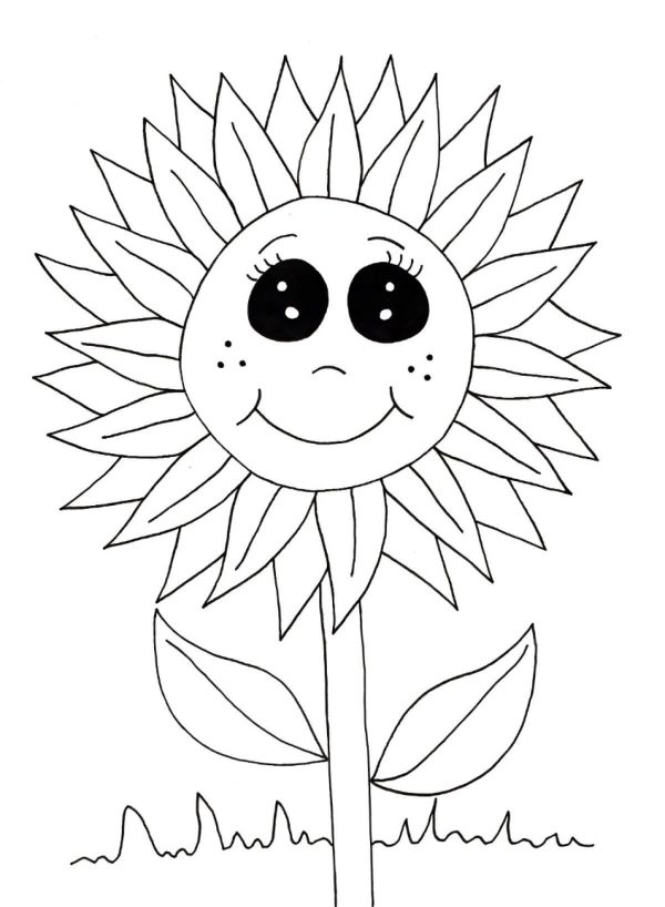 Cute Smiling Sunflower
