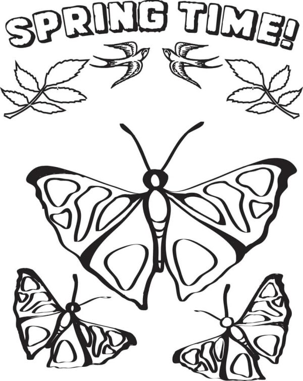 Drawing Butterflies Spring