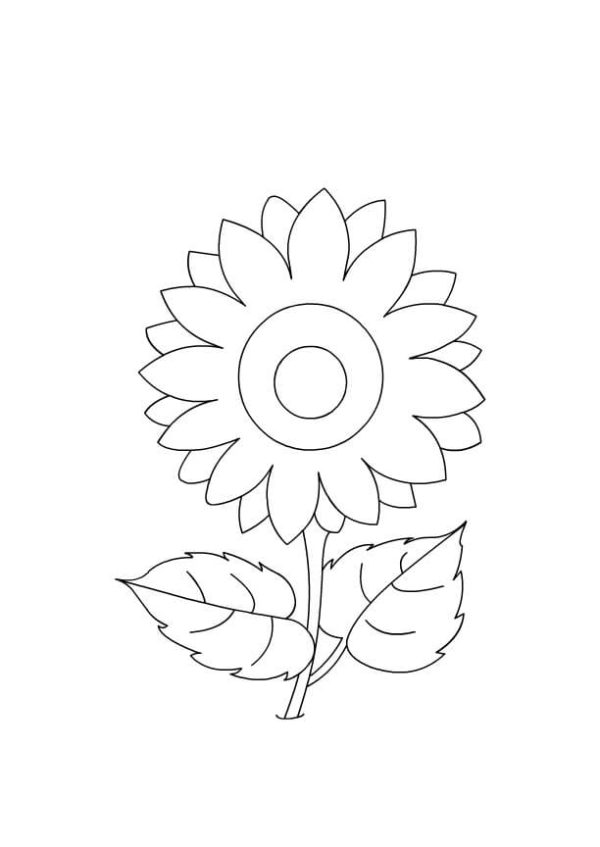 Free Sunflower Graphics
