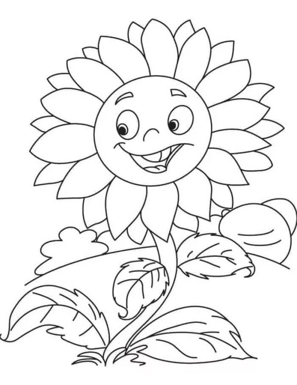 Funny Sunflower