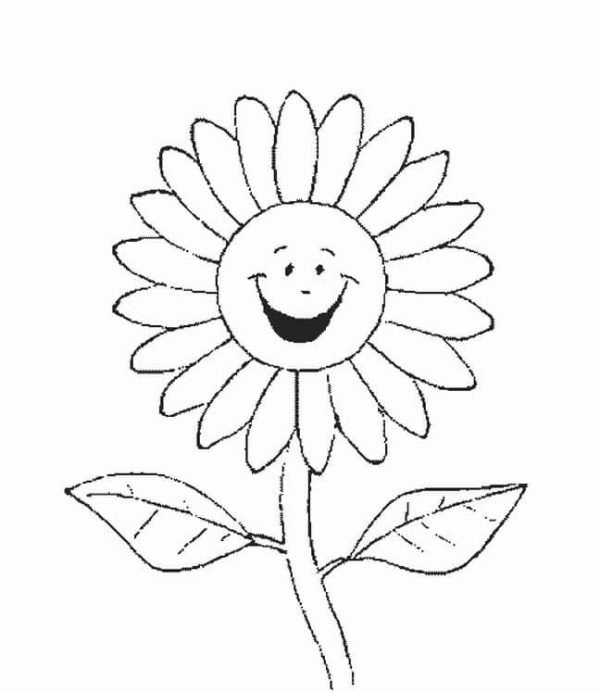 Good Sunflower