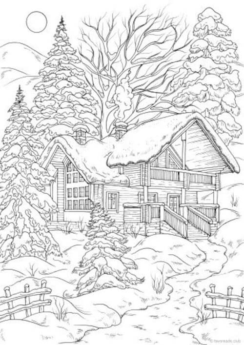 House with Trees in Winter