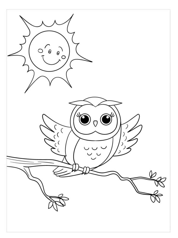 Owl in the Sun