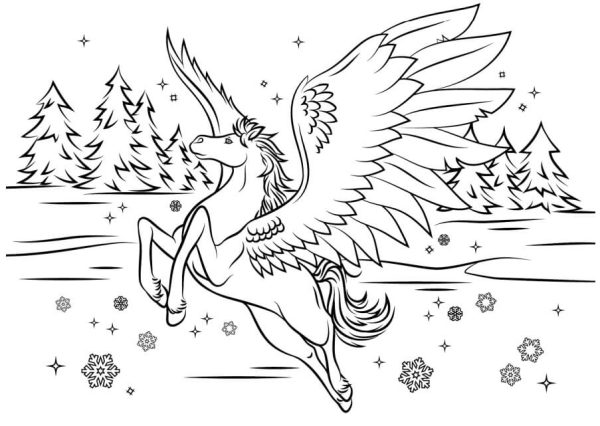 Pegasus in Winter