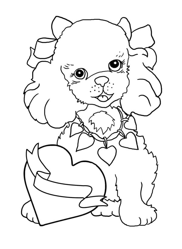 Poodle Dog with Heart in Valentine