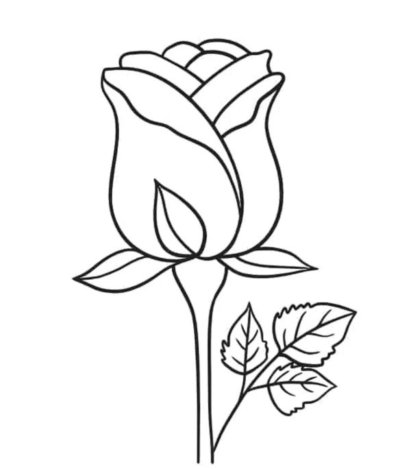 Printable Beautiful Rose