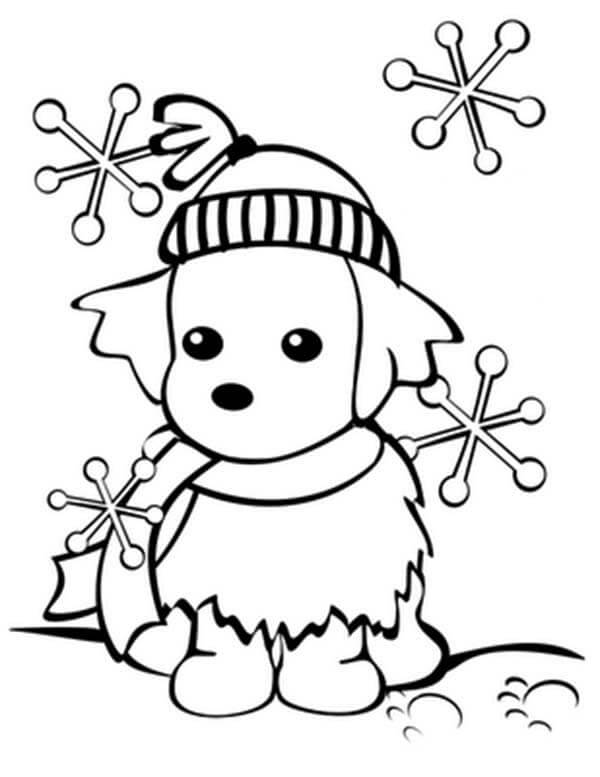 Puppy with Snowflakes in Winter