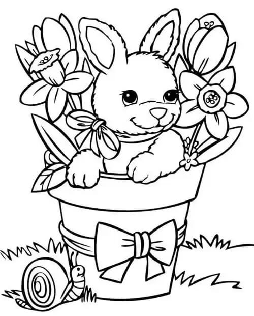 Rabbit with Flowers and Snail in the Spring