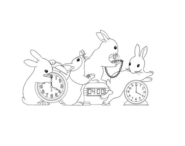 Rabbits with Clocks