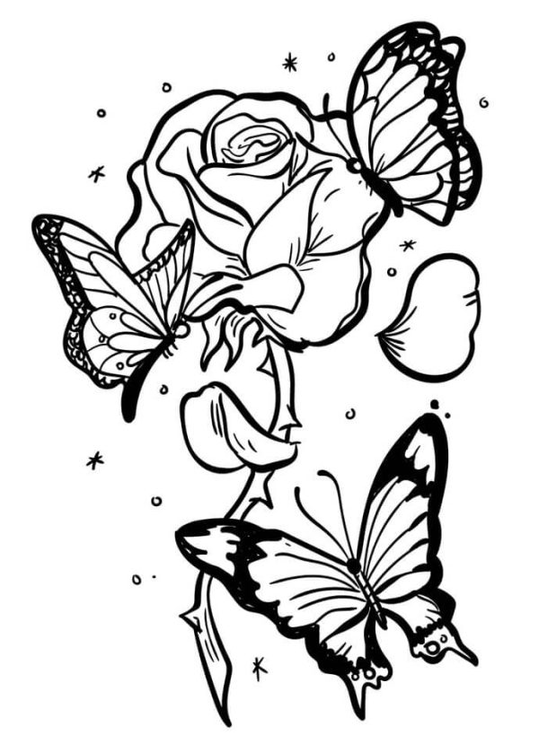 Rose with three Butterflies