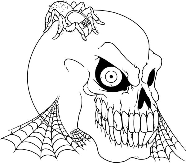 Spider in the Skull