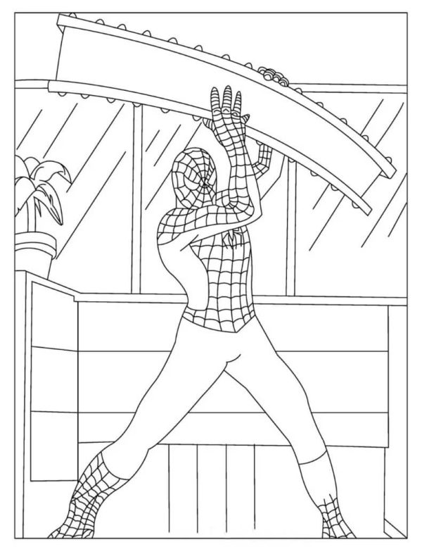 Spiderman Hanging A Drawer