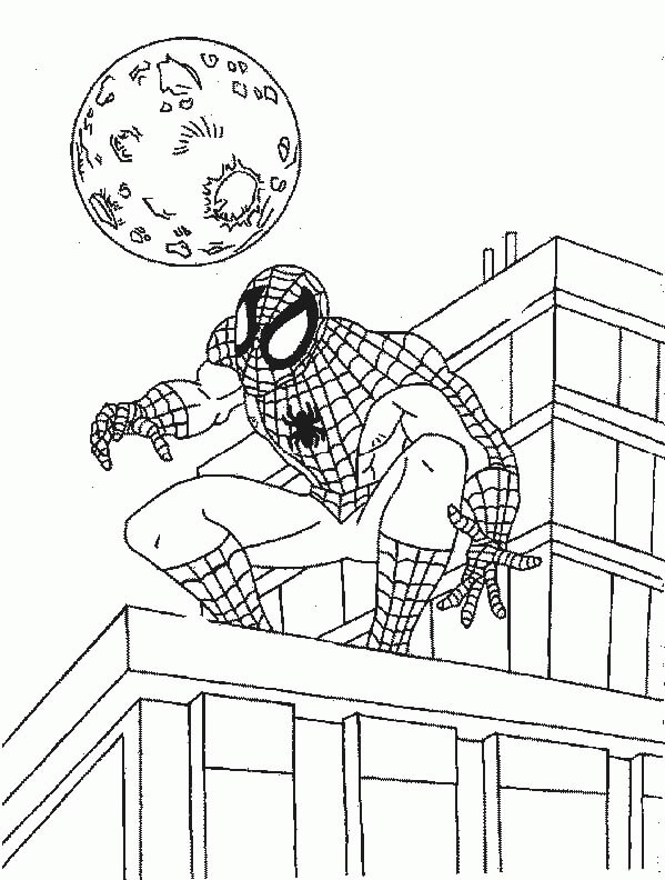Spiderman in the Rooftop