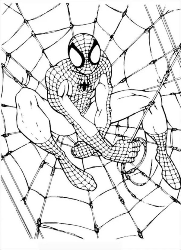 Spiderman is Sitting in the Silk