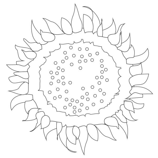 Sunflower free Idea
