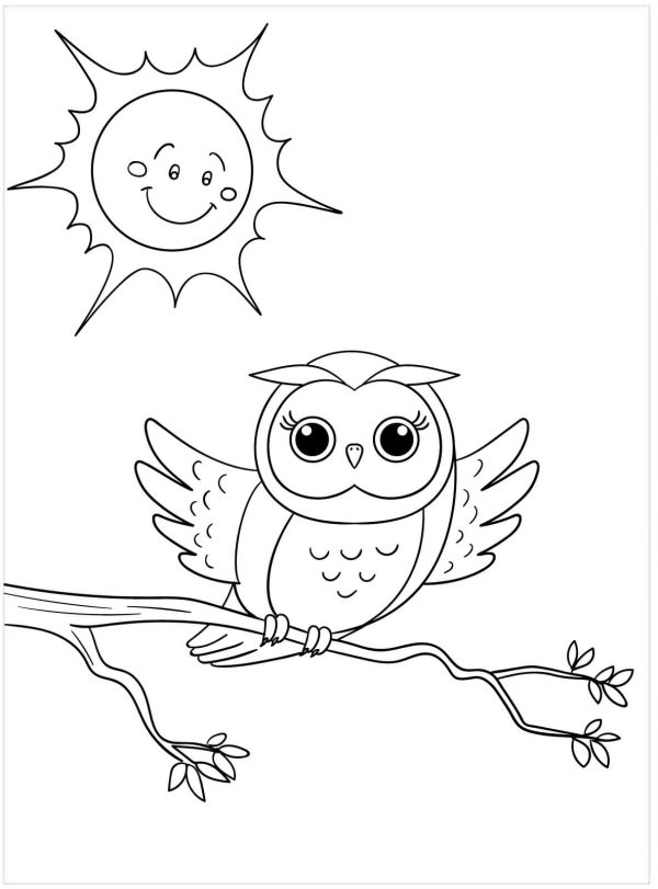 The Sun Looks at the Owl