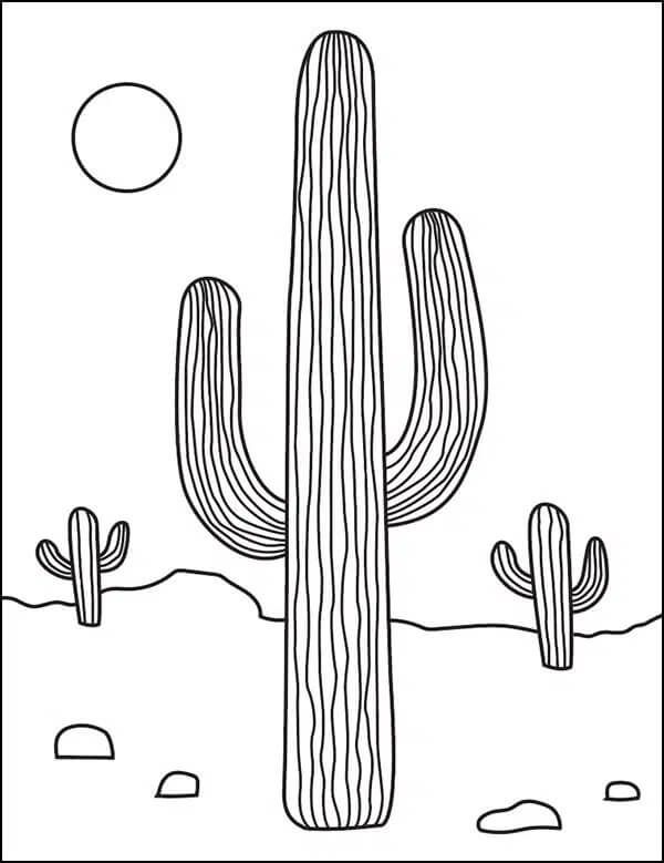 Three Cactus in the Desert