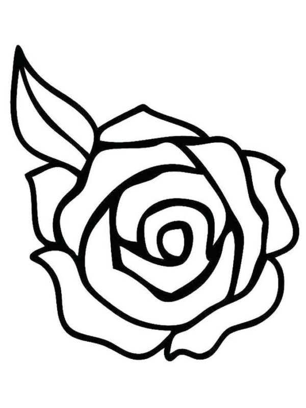Very Simple Rose