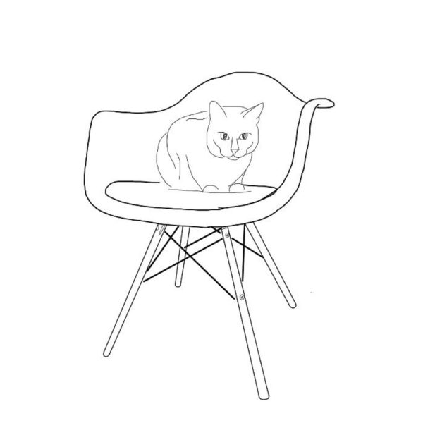 Cat on Chair