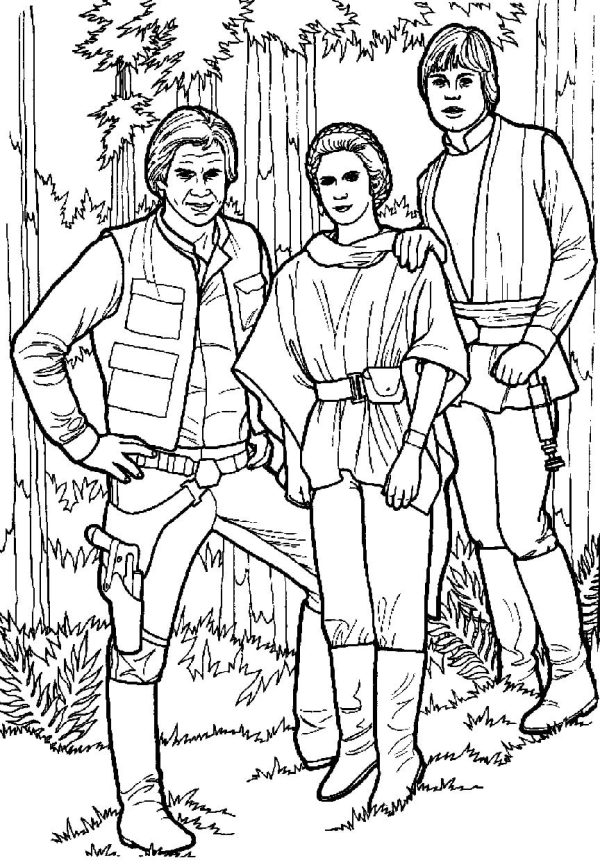 Luke Skywalker and Friends