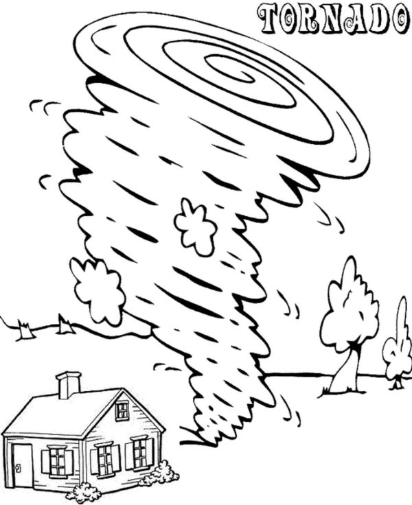 Tornado with House and Trees