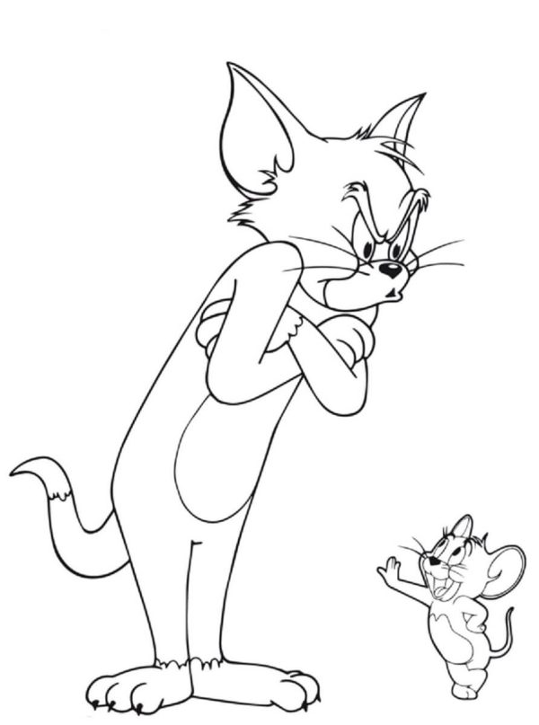 Angry Tom And Fun Jerry