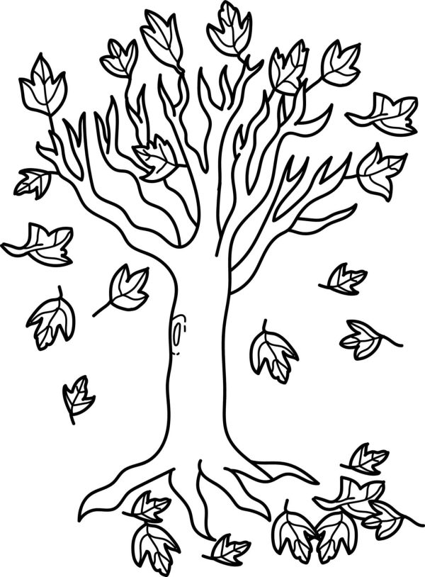 Basic Tree in Autumn