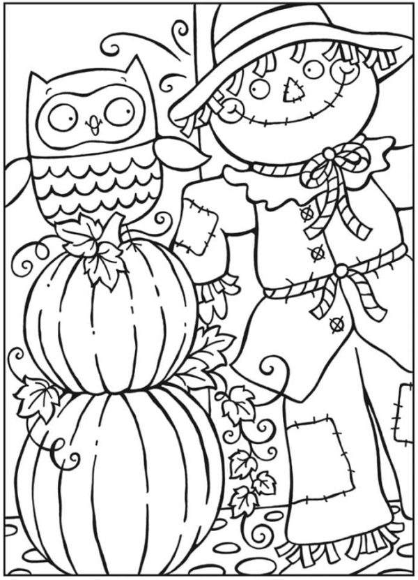Scarecrow And Owl With Pumpkin