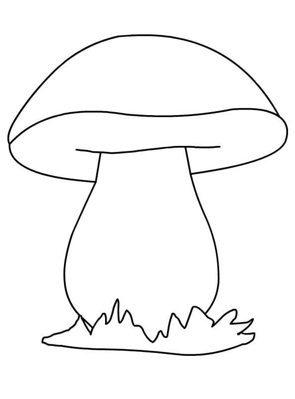 Easy Mushroom