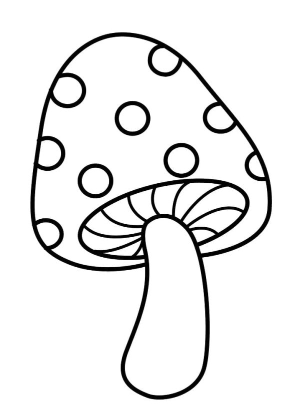 Free Mushroom