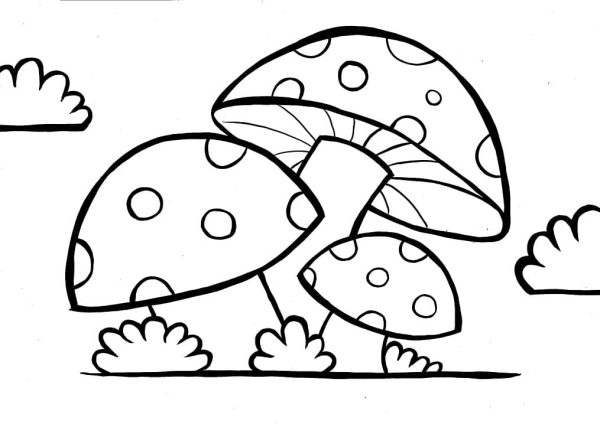 Free Mushrooms