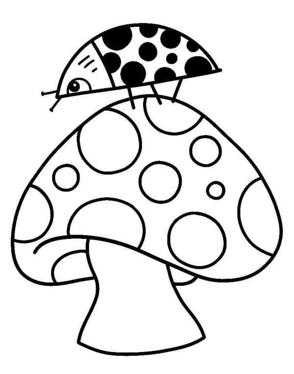 Ladybug on A Mushroom