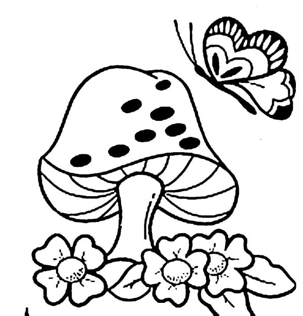 Mushroom and Butterfly
