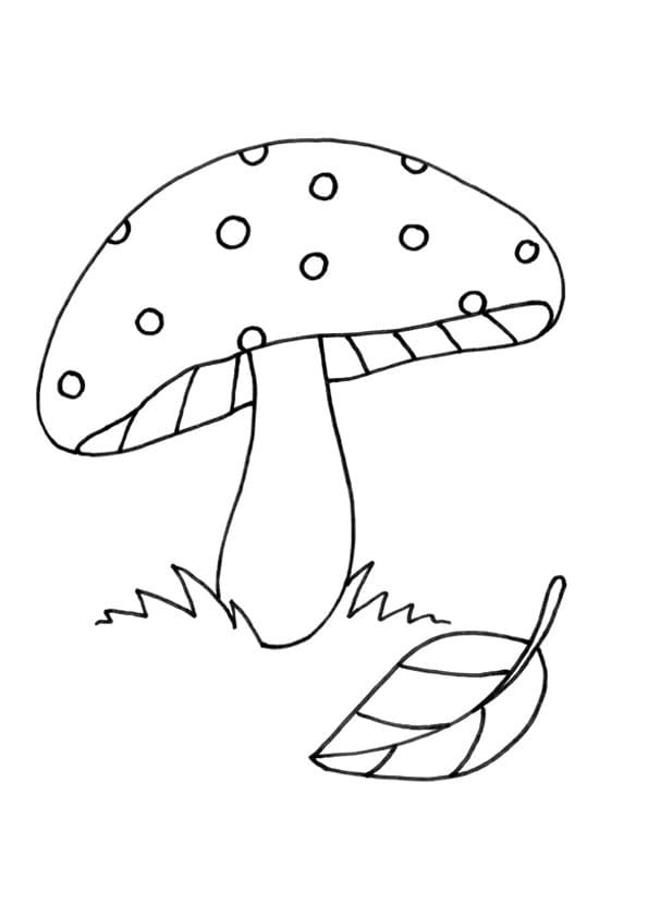 Normal Mushroom