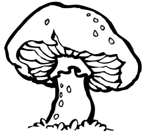 Printable Mushroom
