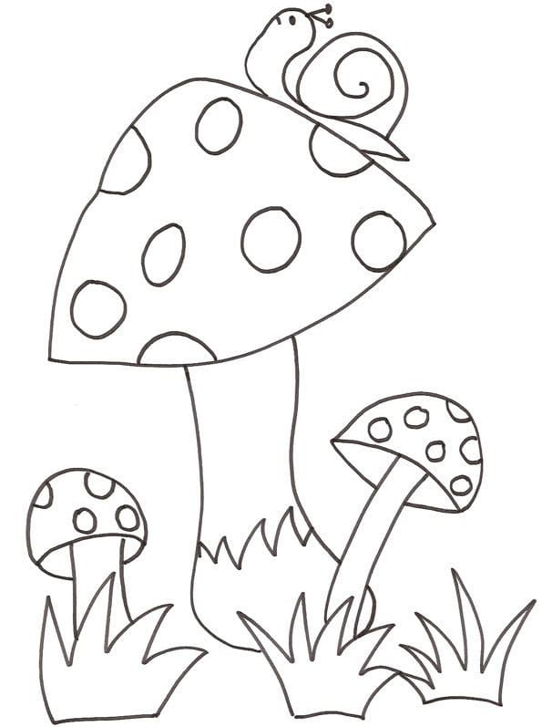 Snail and Mushrooms