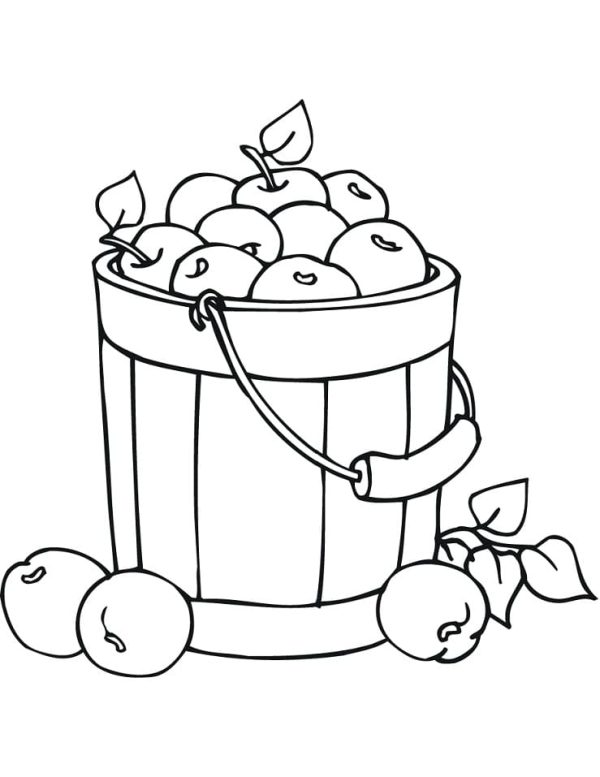 Apple Bucket