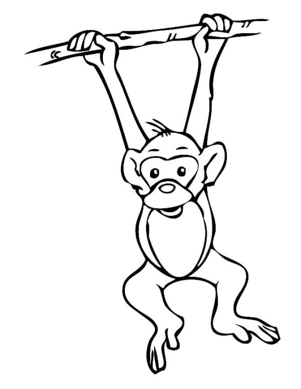 A Hanging Monkey