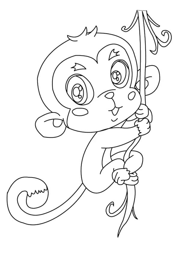 Adorable Monkey