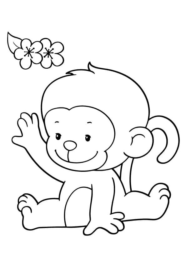 Happy Baby Monkey