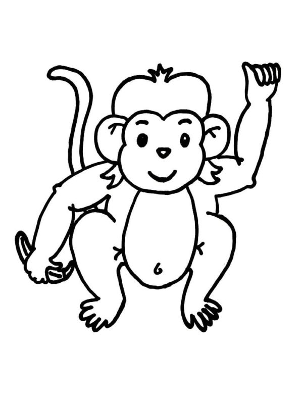 Monkey Free Printable