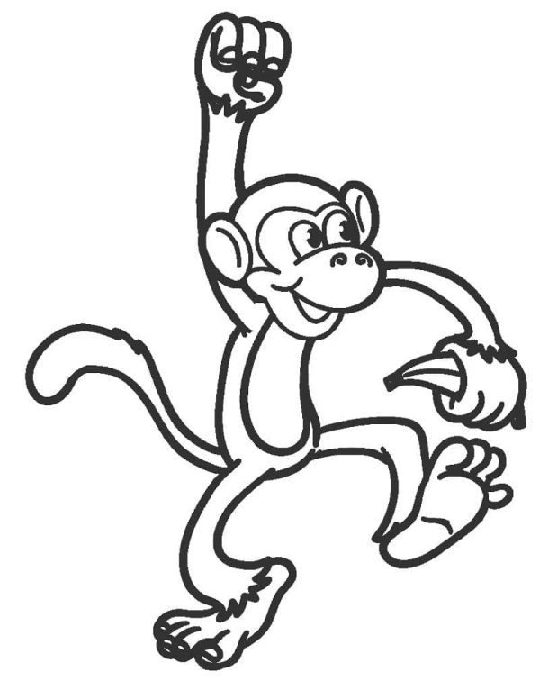 Monkey Holding a Banana