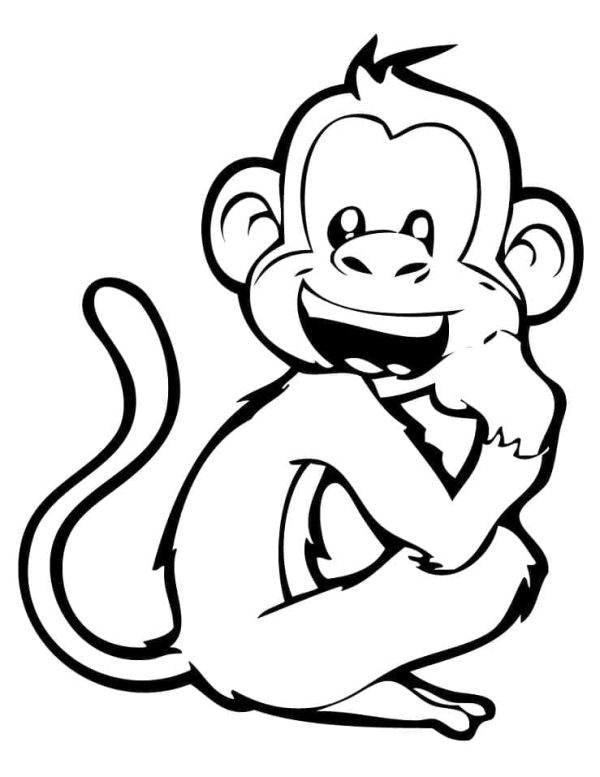 Monkey Laughing