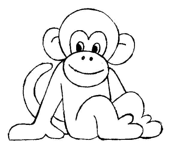 Smiling Monkey