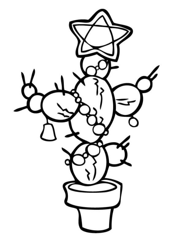 Cactus in Flower Pot