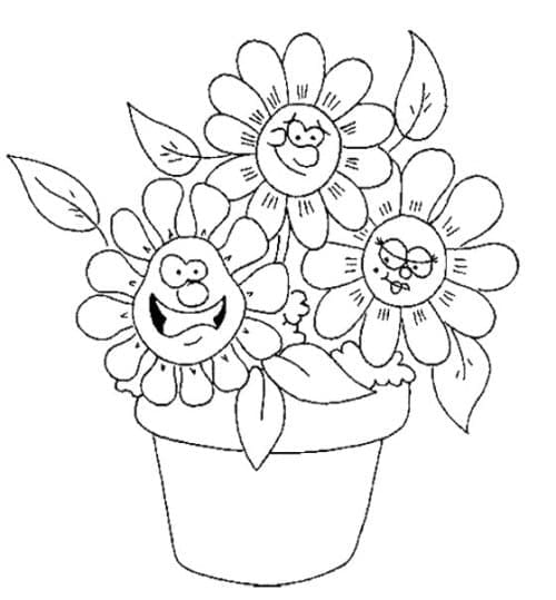 Funny Flowers in Flower Pot